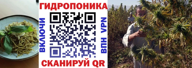 Cannafood конопля  ссылка на мегу ссылки  Шарья 