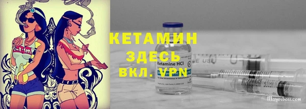 прущие грибы Абаза