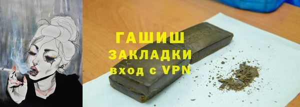 прущие грибы Абаза