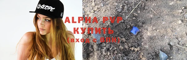 прущие грибы Абаза