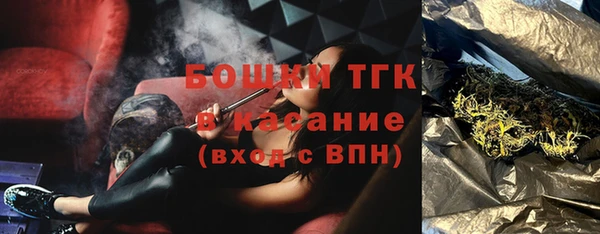 прущие грибы Абаза