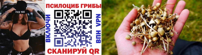 hydra маркетплейс Шарья Галлюциногенные грибы GOLDEN TEACHER
